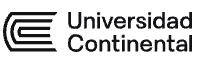 Universidad Continental